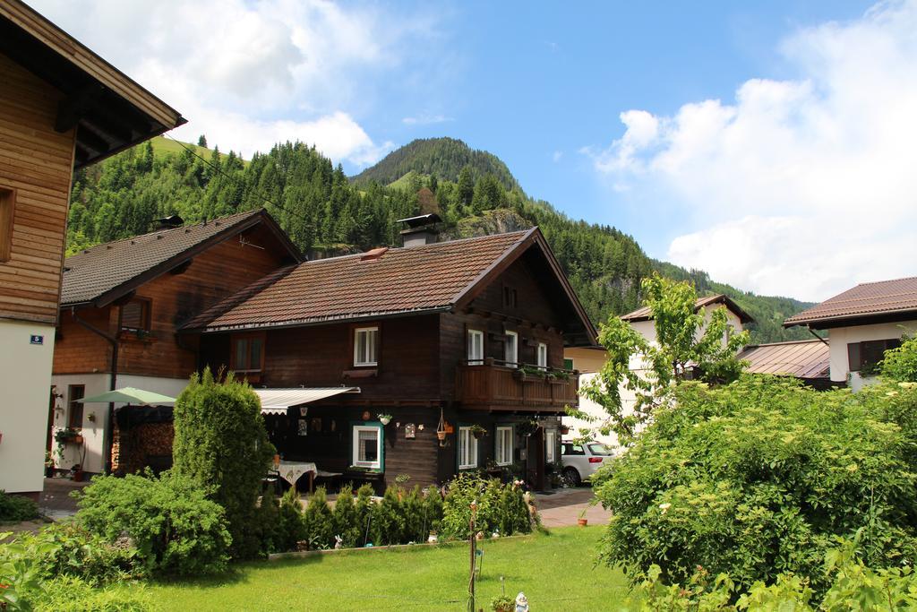 Peterlhaus Villa Kleinarl Exterior photo
